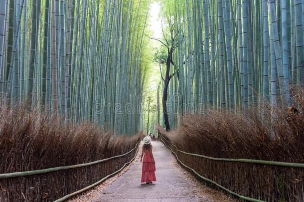 女人步行采用竹子森林,阿拉山山,黑色亮漆