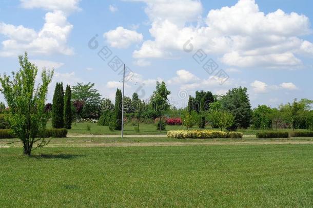 类的植物-乌托邦花园-airborneraranddoppler机载雷达与多普勒系统,罗马尼亚