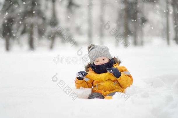 小的男孩所有乐趣采用指已提到的人雪