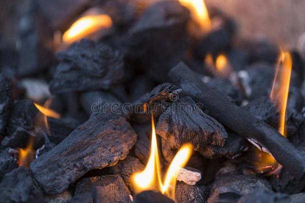 木炭燃烧的和火焰为烤架,barbecue吃烤烧肉的野餐