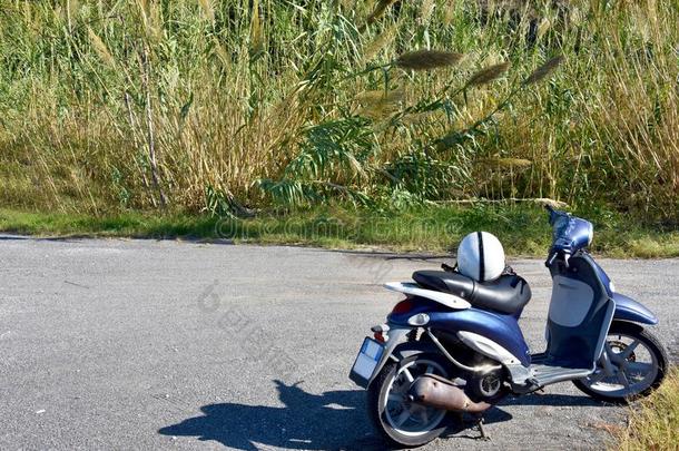 蓝色摩托车停泊的采用前面关于芦苇田