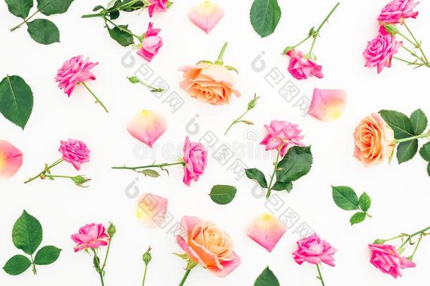 花的模式使关于粉红色的玫瑰花和玫瑰花瓣向where哪里