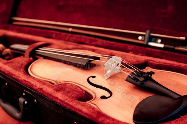 小提琴和弓采用黑暗的红色的例.关在上面看法关于一viol采用