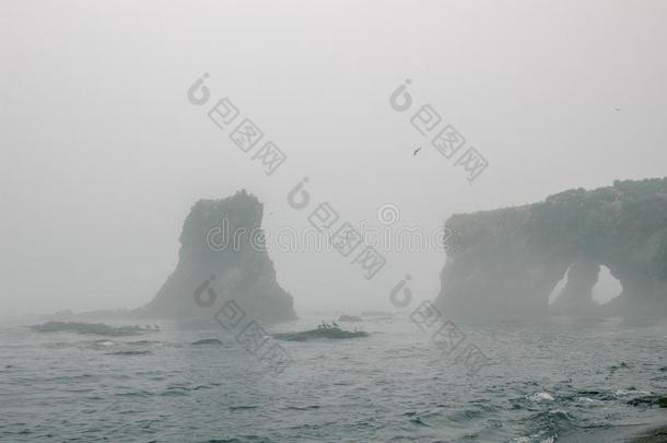 低岬巨人巨人向Sakhanin岛