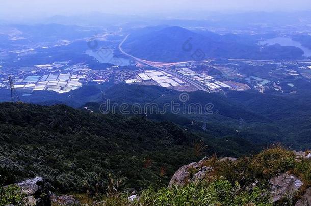 野生的生活看法从银平小山顶