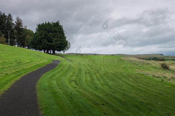 瀑布跟踪格莱纳里夫森林公园,北方的爱尔兰.