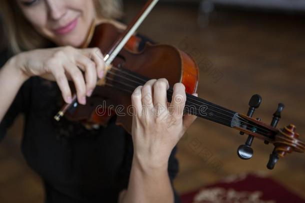 小提琴演员小提琴家古典的音乐演奏.管弦乐队音乐