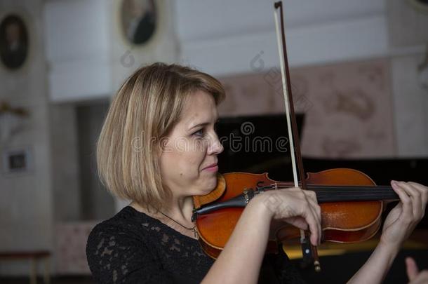 小提琴演员小提琴家古典的音乐演奏.管弦乐队音乐