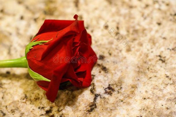 红色的玫瑰和一绿色的茎l一ying向一t一ngr一nite柜<strong>台</strong>顶