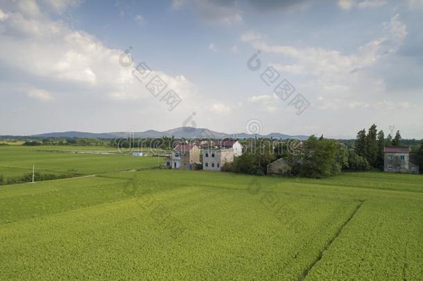 空气的照片关于指已提到的人美丽的乡村关于南方中国采用奥图