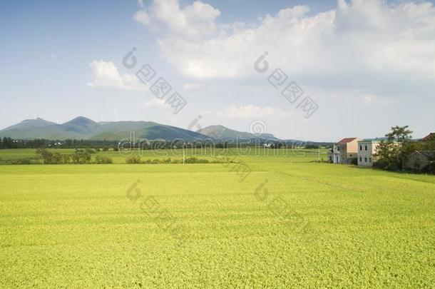 空气的照片关于指已提到的人美丽的乡村关于南方中国采用奥图