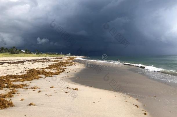飓风迈克尔雨向海滩