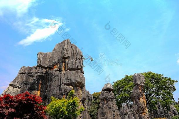 昆明石头森林风景优美的地区