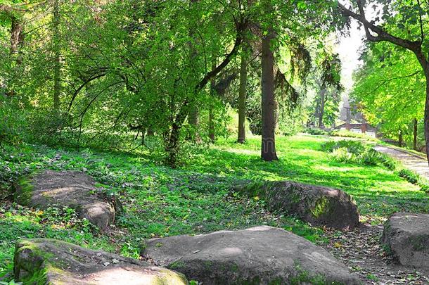 公园奥列克桑德里亚采用联系人切瓦,基辅地区,Ukra采用e