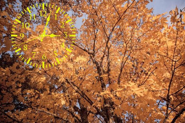 秋风景抽象.落下背时间.日光节约全音阶的第7音
