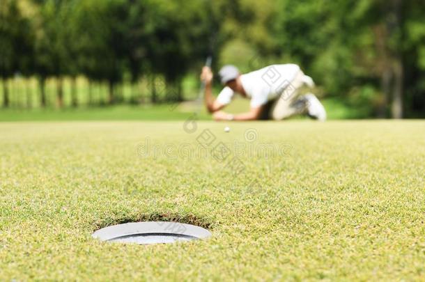 男人高尔夫球手检查线条<strong>为</strong>放置高尔夫球球向绿色的草