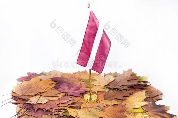 独立一天关于拉脱维亚.庆祝100年关于独立的