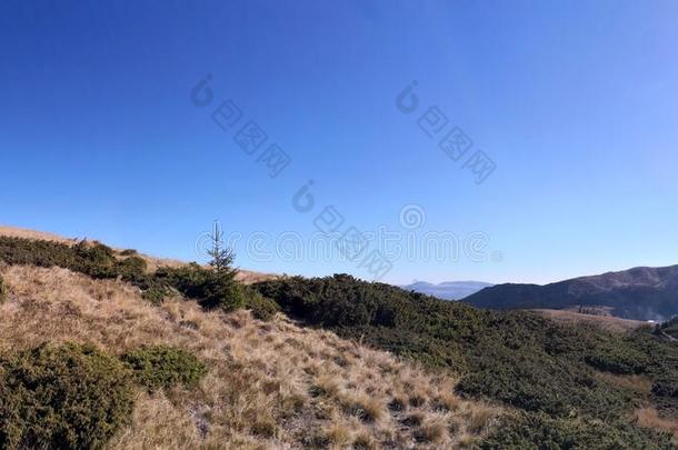 秋采用指已提到的人mounta采用s-全景的照片