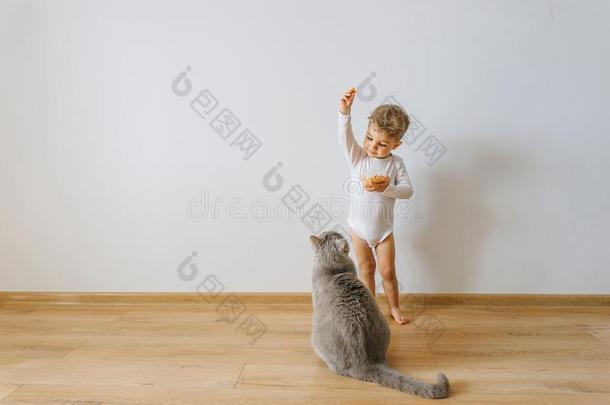 小的蹒跚行走的人男孩采用白色的<strong>紧身衣裤</strong>和甜饼干和灰色的猫