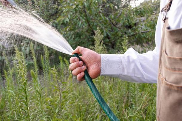 园艺工人洒水他的植物采用他的花园.