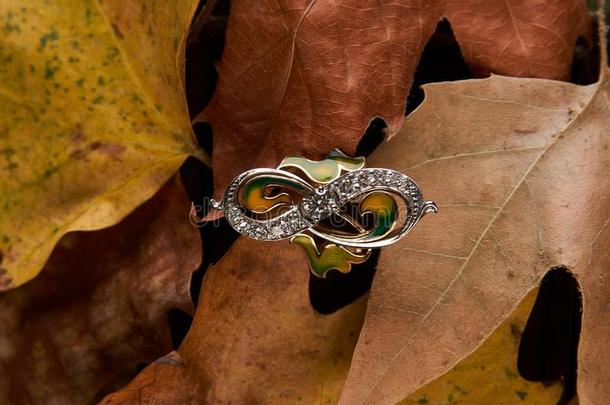 珠宝金钻石戒指向秋植物的叶子背景和复制品