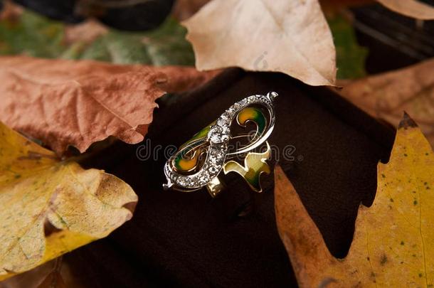 珠宝<strong>金钻石</strong>戒指向秋植物的叶子背景和复制品