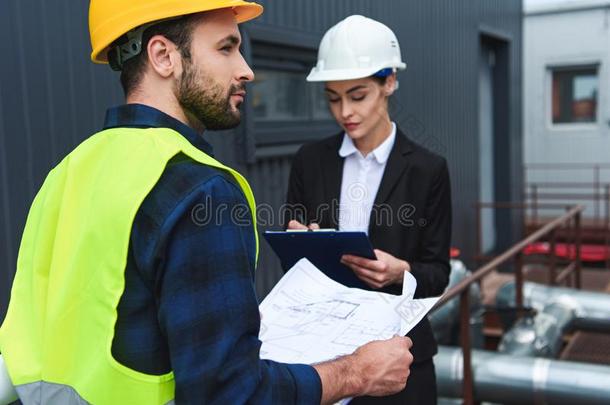 精心选择的集中关于建筑师和建设者采用头盔和蓝莓