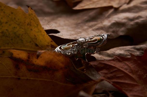 珠宝<strong>金钻</strong>石戒指向秋植物的叶子背景