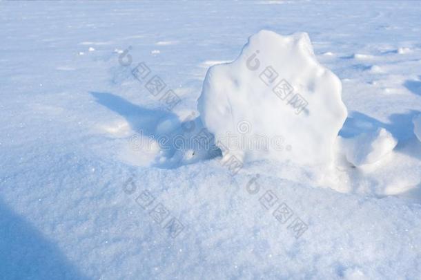 白色的下雪的金丝鸟病向被雪困住的田.冬背景.