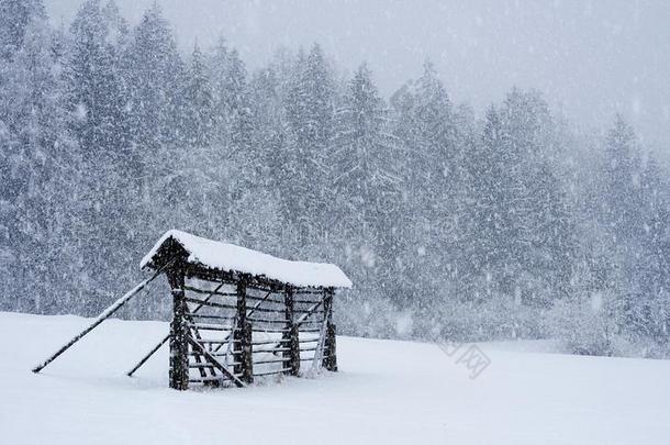 干草行李架采用雪暴风雨