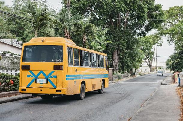 黄色的袖珍型的东西-公共汽车向一大街采用布里奇顿,B一rb一dos.