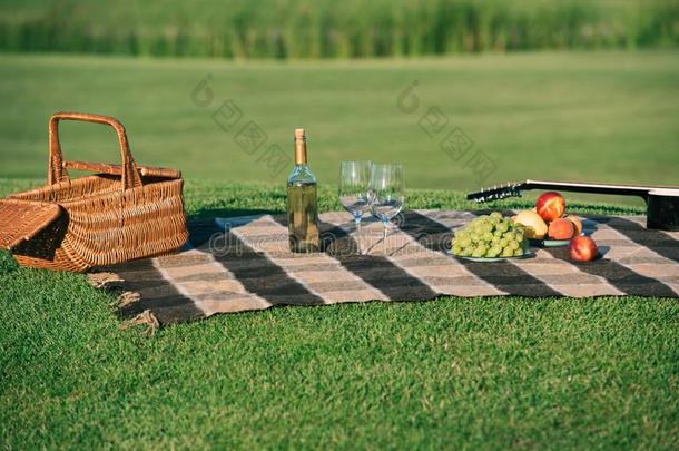 野餐郊游和柳条篮白色的葡萄酒成果和听觉的吉他