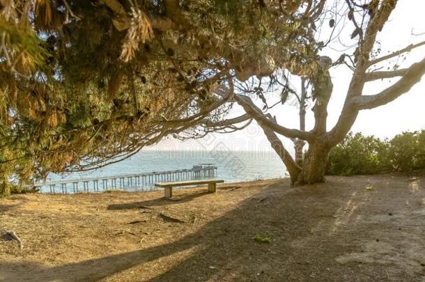 阳光照射的长凳和一风景优美的看法关于斯克里普斯码头