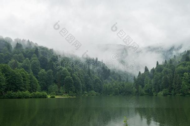 一美丽的湖风景从董事会卡拉戈尔自然公园,一rtv