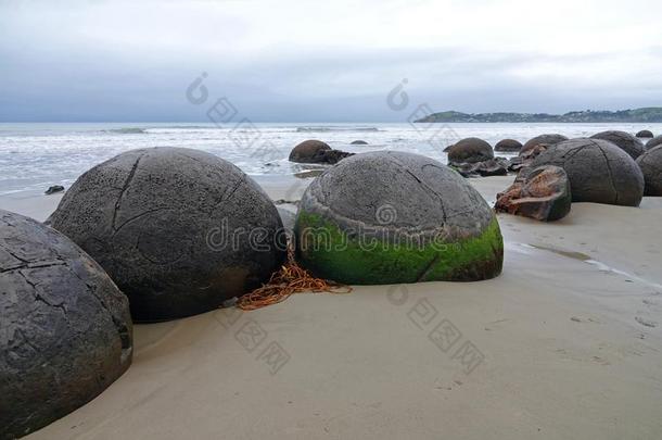 莫拉基卵石向Koehohe海滩采用新的西兰岛