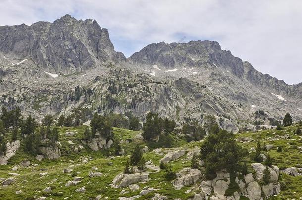 艾格河错误国家的公园.森林和山峰l和scape.列伊达