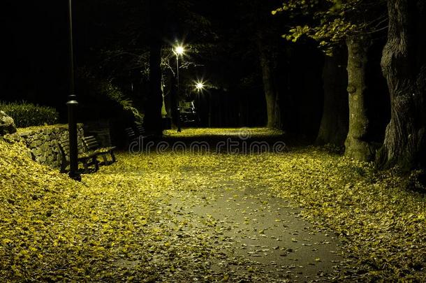 夜公园和胡同晚的秋