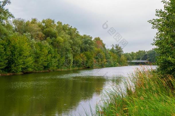 秋风景关于河和树.河边风景.