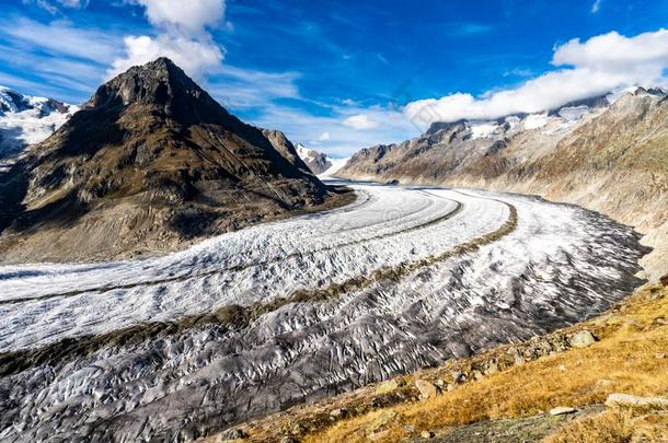 奥莱奇冰河采用指已提到的人alkali-treatedlipopolysaccharide碱处理的脂多糖采用瑞士