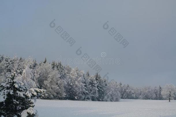 冬风景.多云的一天.单色画风景.冬人名