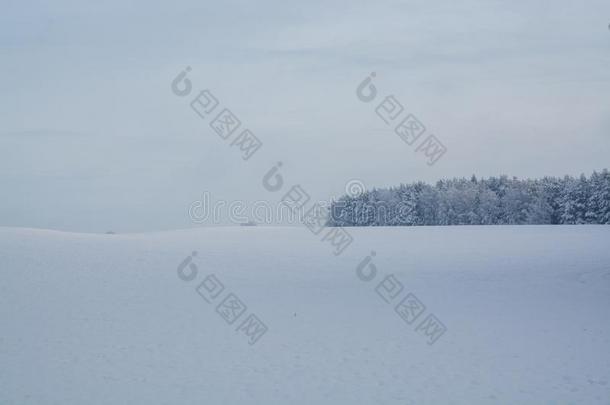 冬风景.多云的一天.单色画风景.冬人名