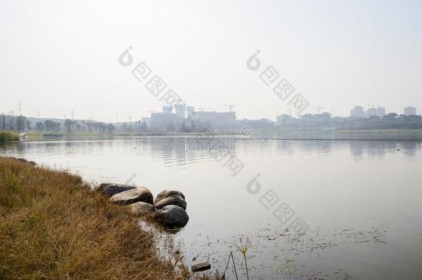 卵石在褪色长满草的湖边和建筑物地点采用disconnect分离