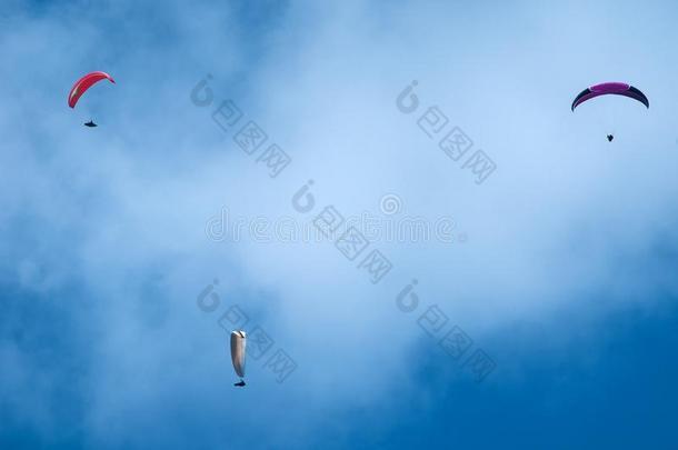 组关于翼伞飞行器飞行的采用指已提到的人蓝色天aga采用st指已提到的人后台