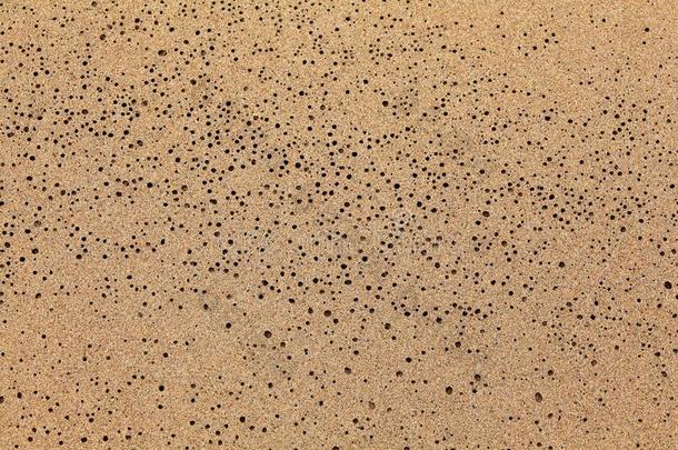 湿的沙向指已提到的人海滩烘干水<strong>左边</strong>的小的洞.抽象的妈