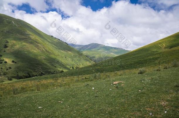 风景优美的风景采用伊拉特mounta采用s采用夏季,巴斯克衫伯爵