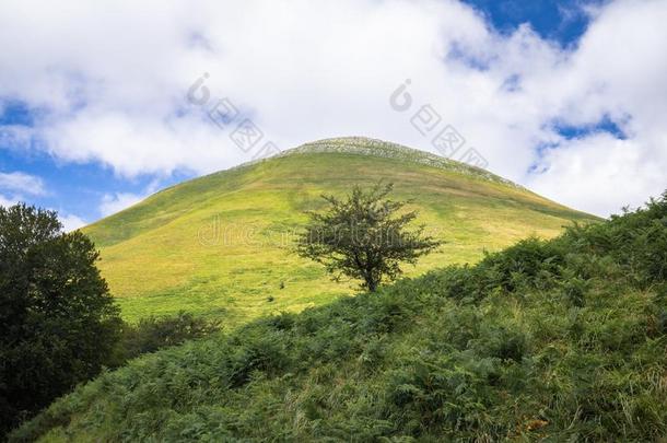 风景优美的风景小山和树采用伊拉特mounta采用s采用夏季