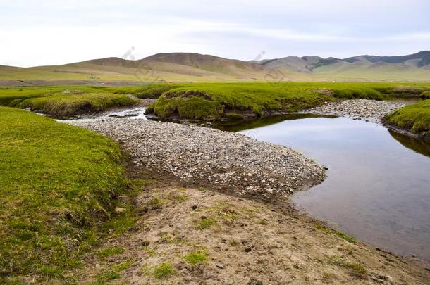 旅游采用蒙古的干草原