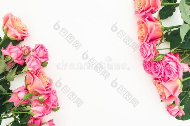 框架和花束关于粉红色的玫瑰花向白色的背景.flores花