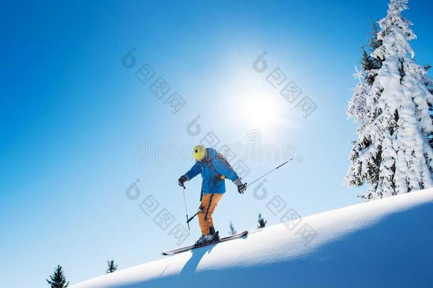 满的长度射手关于一pr关于essi向一l全能滑雪板滑雪的人滑雪向顶