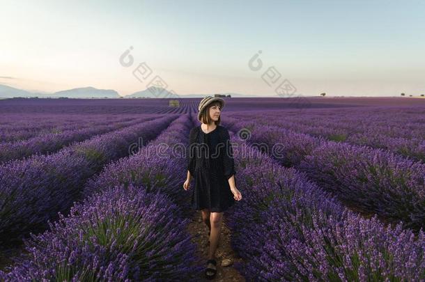 美丽的年幼的女人起立在之间盛开的薰衣草花